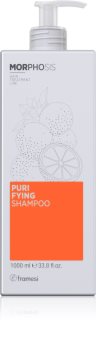 Framesi Morphosis Purifying čisticí šampon proti lupům