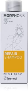 Framesi Morphosis Repair vyživující šampon