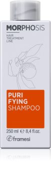 Framesi Morphosis Purifying šampon proti lupům