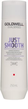 Goldwell Dualsenses Just Smooth Smoothing Shampoo For Unruly Hair