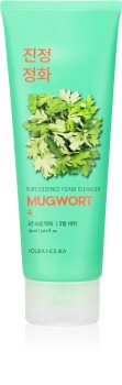 Holika Holika Pure Essence Mugwort Reinigungsschaumgel