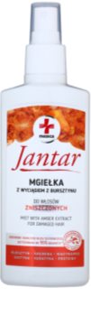 Ideepharm Medica Jantar soin capillaire sans rinçage pour cheveux abîmés