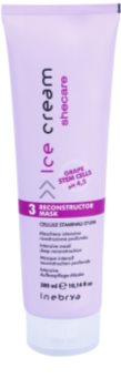 Inebrya Ice Cream Shecare Intensive Treatment Mask For Dry, Damaged, Chemically Treated Hair