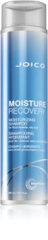 Joico Moisture Recovery hydratisierendes Shampoo für trockenes Haar