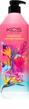 KCS Endless Love Perfumed Shampoo Gentle Shampoo