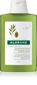 Klorane Oliva šampon s esenciálním výtažkem z oliv