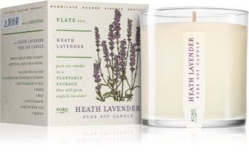 KOBO Plant The Box Heath Lavender Tuoksukynttilä