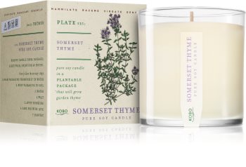 KOBO Plant The Box Somerset Thyme geurkaars