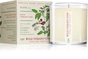 KOBO Plant The Box Wild Tomato Vine Duftkerze