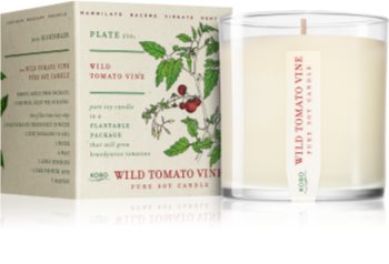 KOBO Plant The Box Wild Tomato Vine świeczka zapachowa