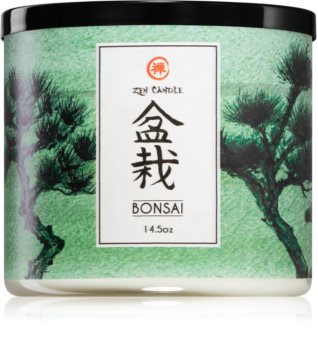 Kringle Candle Zen Bonsai mirisna svijeća