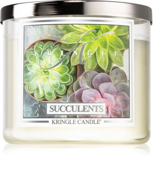 Kringle Candle Succulents Tuoksukynttilä I.