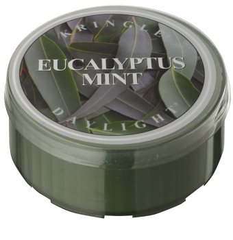 Kringle Candle Eucalyptus Mint čajová svíčka