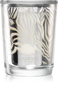Ladenac Africa Zebra Camouflage bougie parfumée