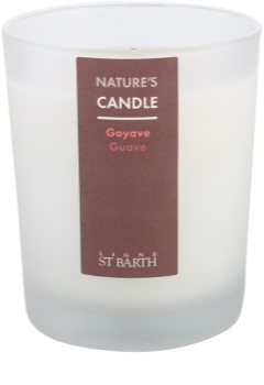 Ligne ST. Barth Guave scented candle