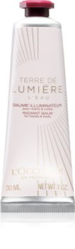 L’Occitane Terre de Lumière pečující balzám na ruce