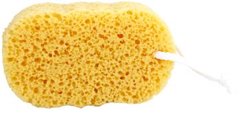 Magnum Feel The Style Washing Sponge