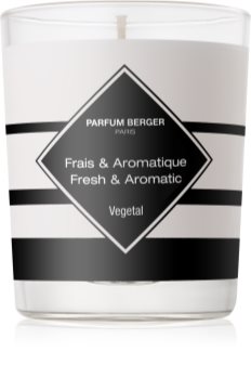 Maison Berger Paris Anti Odour Tobacco vonná sviečka II. (Fresh & Aromatic)