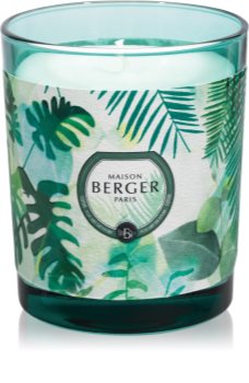 Maison Berger Paris Immersion Fresh Eucalyptus vonná sviečka