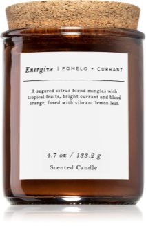 Makers of Wax Goods Pomelo & Currant candela profumata
