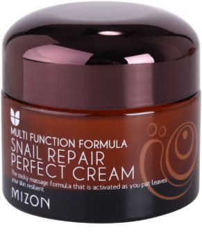 Mizon Multi Function Formula Snail Face Cream With Filtered Snail Mucous 60%