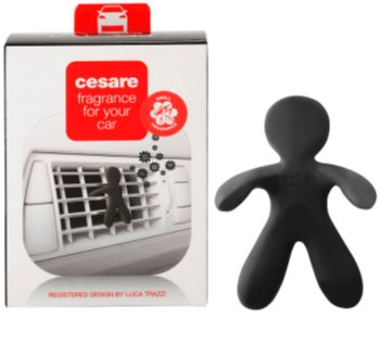 Mr & Mrs Fragrance Cesare Cedar Wood Auton ilmanraikastin I.