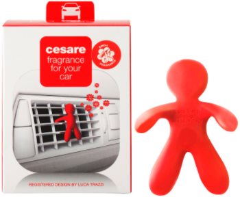 Mr & Mrs Fragrance Cesare Pepper Mint miris za auto I.