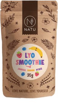 NATU Lyo mix smoothie mrazem sušené ovoce
