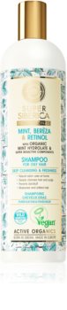 Natura Siberica Mint, Bereza & Retinol šampon pro mastné vlasy