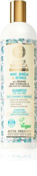 Natura Siberica Mint, Bereza & Retinol shampoing pour cheveux gras
