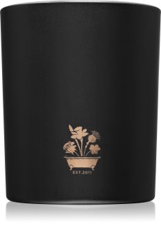 Noble Isle Fireside candela profumata