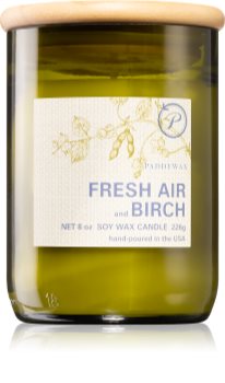 Paddywax Eco Green Fresh Air & Birch Duftkerze