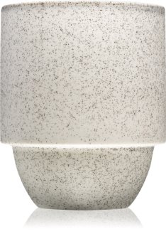 Paddywax Parks White Pine + Hemlock Duftkerze mit Holzdocht
