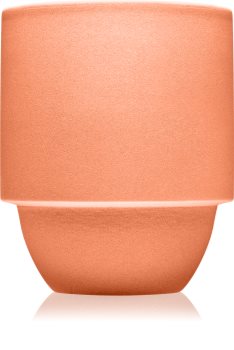 Paddywax Parks Cactus Flower + Fern bougie parfumée avec mèche en bois