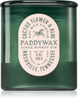 Paddywax Vista Cactus Flower & Aloe Duftkerze