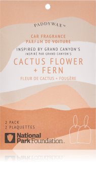 Paddywax Parks Cactus Flower + Fern Auton ilmanraikastin