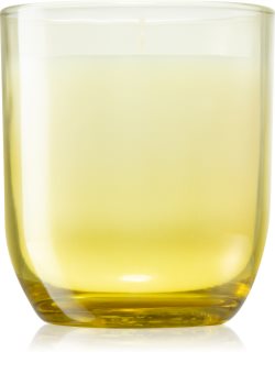Paddywax Enneagram Individualist (Prickly Pear) vela perfumada