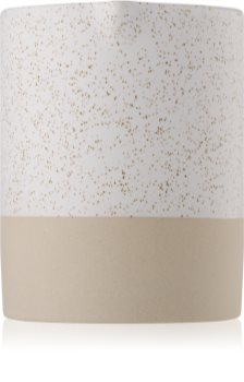 Paddywax Mesa Black Salt & Birch vonná svíčka