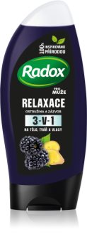 Radox Men Feel Wild Duschgel & Shampoo 2 in 1