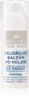 Regina Professional Care beruhigendes After Shave Balsam