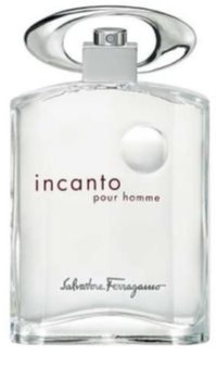 Salvatore Ferragamo Incanto Pour Homme toaletní voda pro muže 100 ml