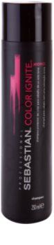Sebastian Professional Color Ignite Mono Shampoo für einfarbig gefärbte Haare