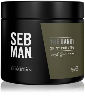 Sebastian Professional SEB MAN The Dandy Pomade für natürliche Fixation