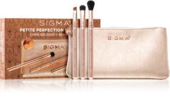 Sigma Beauty Rendezvous Petite Perfection Brush Set set de pensule cu geantă