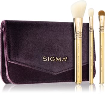 Sigma Beauty Elite Essential Trio Brush Set дорожный набор кистей с косметичкой (для лица и кожи вокруг глаз)
