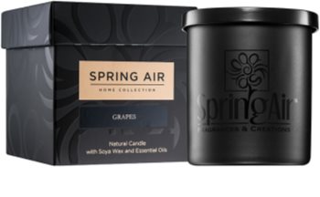 Spring Air Home Collection Grapes vela perfumada