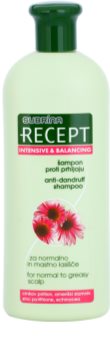 Subrina Professional Recept Intensive & Balancing šampon proti lupům pro normální až mastné vlasy