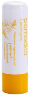 Sylveco Lip Care balsam do ust z efektem peelingu