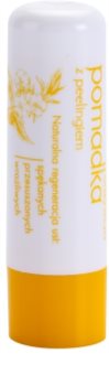 Sylveco Lip Care bálsamo labial con efecto exfoliante