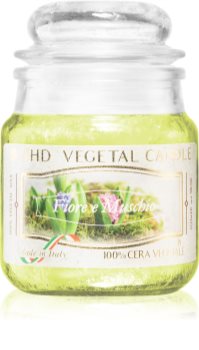 THD Vegetal Fiore E Muschio Duftkerze